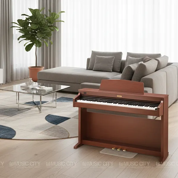 Music City – Tổng Kho Piano, Guitar, Organ | Dịch Vụ Giáo Dục Âm Nhạc