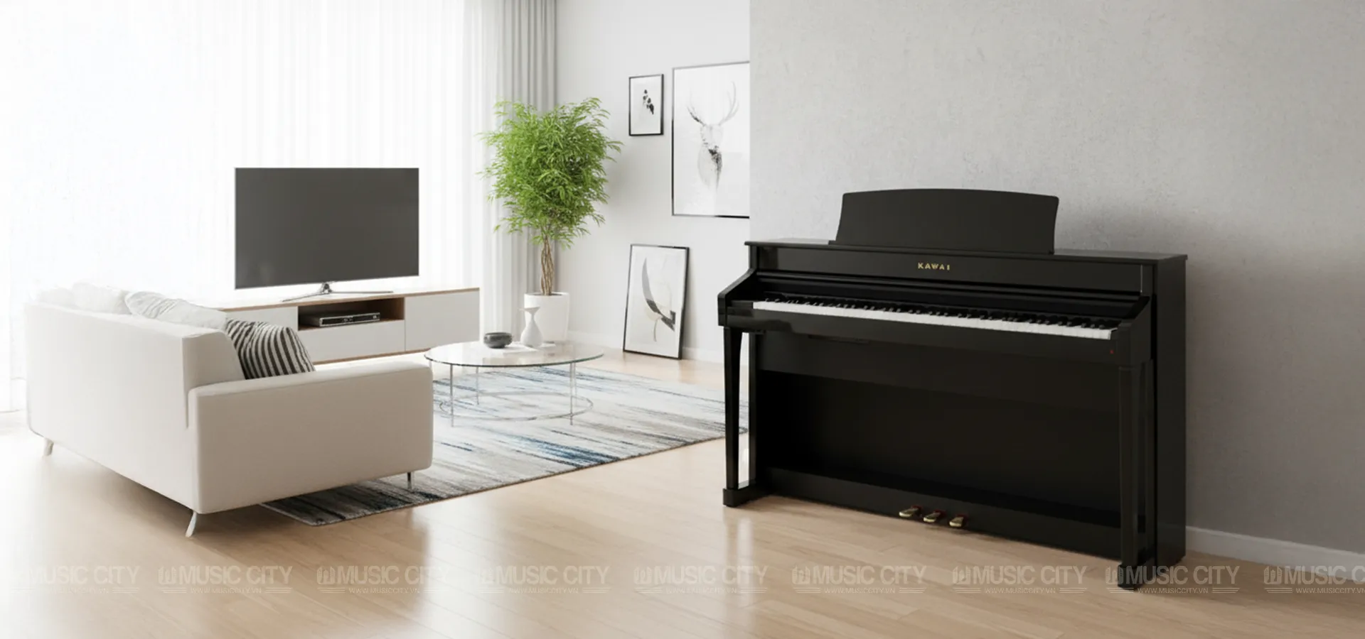 Music City – Tổng Kho Piano, Guitar, Organ | Dịch Vụ Giáo Dục Âm Nhạc