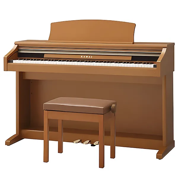 Music City – Tổng Kho Piano, Guitar, Organ | Dịch Vụ Giáo Dục Âm Nhạc