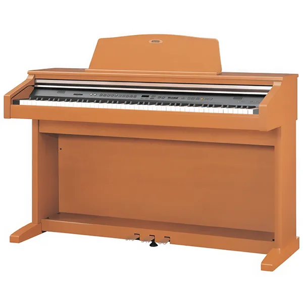 Music City – Tổng Kho Piano, Guitar, Organ | Dịch Vụ Giáo Dục Âm Nhạc