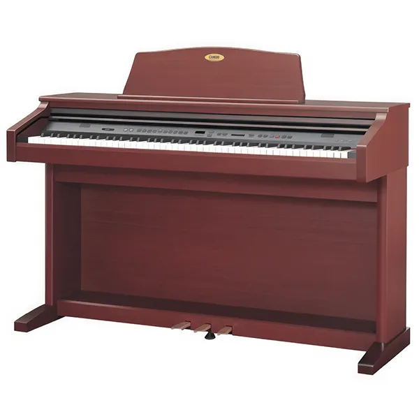 Music City – Tổng Kho Piano, Guitar, Organ | Dịch Vụ Giáo Dục Âm Nhạc