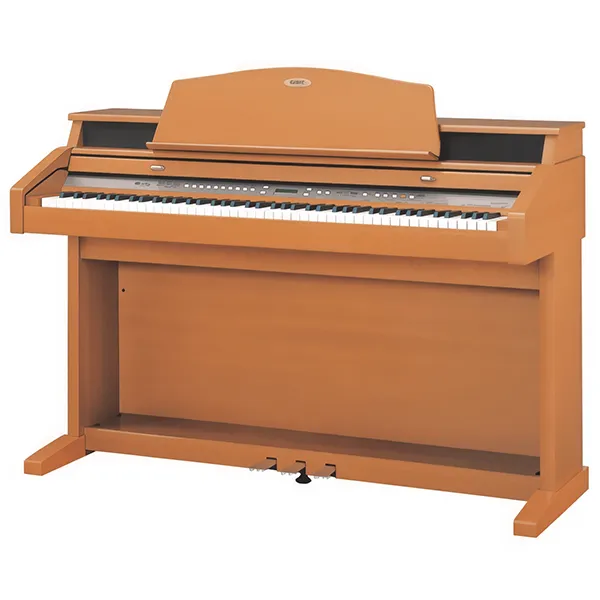 Music City – Tổng Kho Piano, Guitar, Organ | Dịch Vụ Giáo Dục Âm Nhạc
