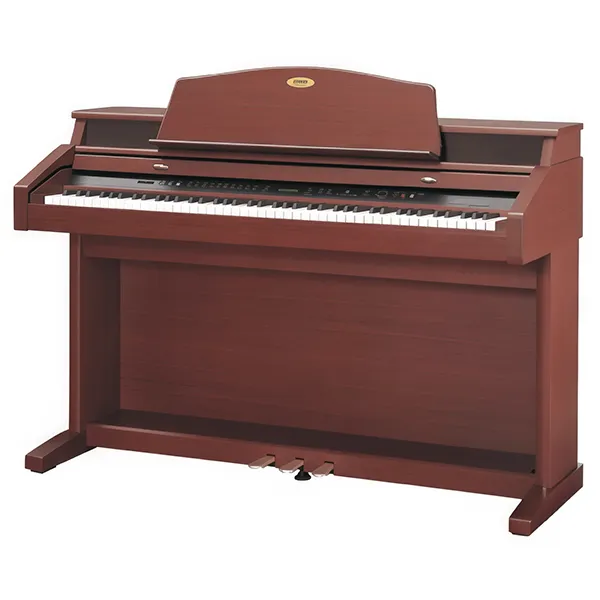 Music City – Tổng Kho Piano, Guitar, Organ | Dịch Vụ Giáo Dục Âm Nhạc