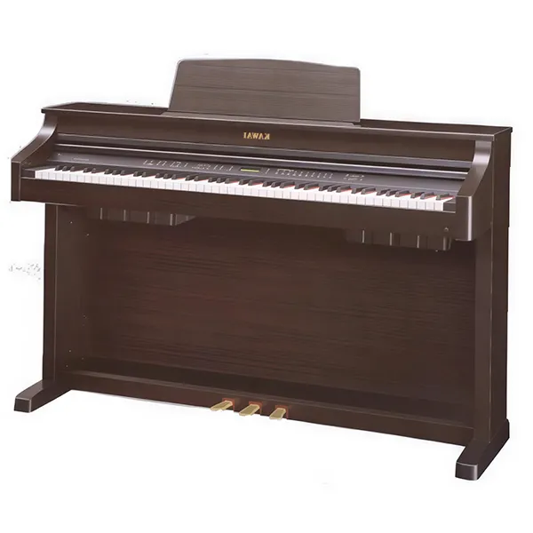 Music City – Tổng Kho Piano, Guitar, Organ | Dịch Vụ Giáo Dục Âm Nhạc