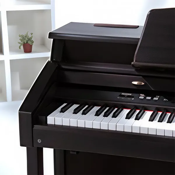 Music City – Tổng Kho Piano, Guitar, Organ | Dịch Vụ Giáo Dục Âm Nhạc