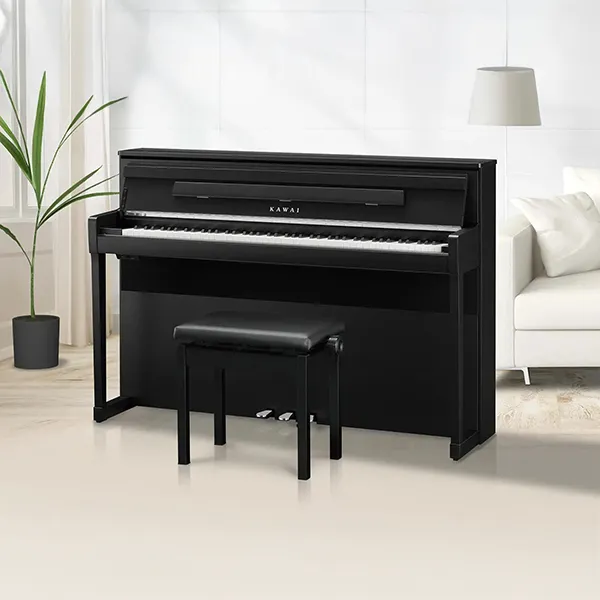 Music City – Tổng Kho Piano, Guitar, Organ | Dịch Vụ Giáo Dục Âm Nhạc
