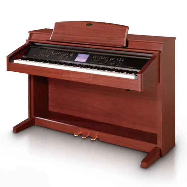 Music City – Tổng Kho Piano, Guitar, Organ | Dịch Vụ Giáo Dục Âm Nhạc