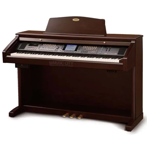 Music City – Tổng Kho Piano, Guitar, Organ | Dịch Vụ Giáo Dục Âm Nhạc