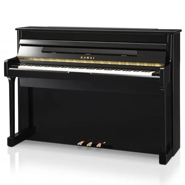 Music City – Tổng Kho Piano, Guitar, Organ | Dịch Vụ Giáo Dục Âm Nhạc
