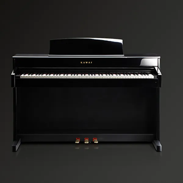 Music City – Tổng Kho Piano, Guitar, Organ | Dịch Vụ Giáo Dục Âm Nhạc