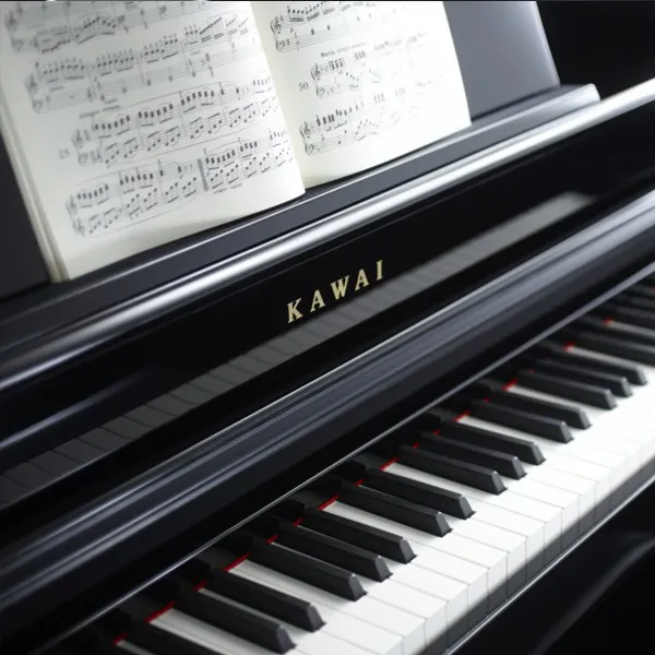 Music City – Tổng Kho Piano, Guitar, Organ | Dịch Vụ Giáo Dục Âm Nhạc