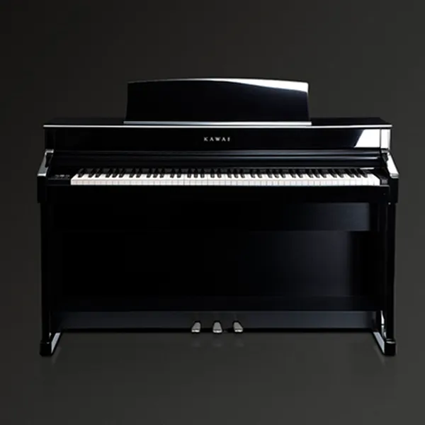 Music City – Tổng Kho Piano, Guitar, Organ | Dịch Vụ Giáo Dục Âm Nhạc
