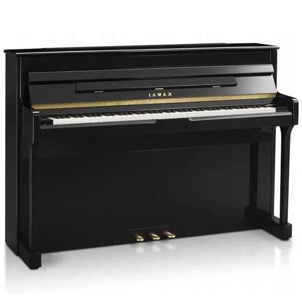 Music City – Tổng Kho Piano, Guitar, Organ | Dịch Vụ Giáo Dục Âm Nhạc