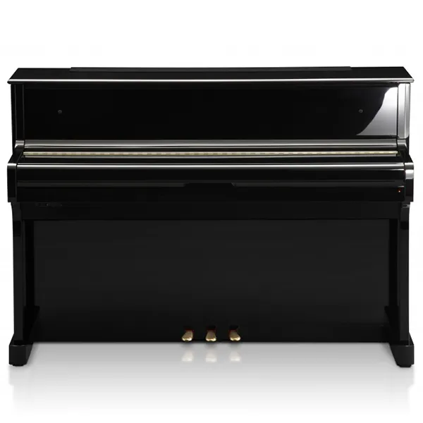 Music City – Tổng Kho Piano, Guitar, Organ | Dịch Vụ Giáo Dục Âm Nhạc