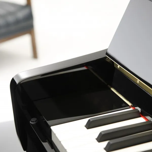 Music City – Tổng Kho Piano, Guitar, Organ | Dịch Vụ Giáo Dục Âm Nhạc