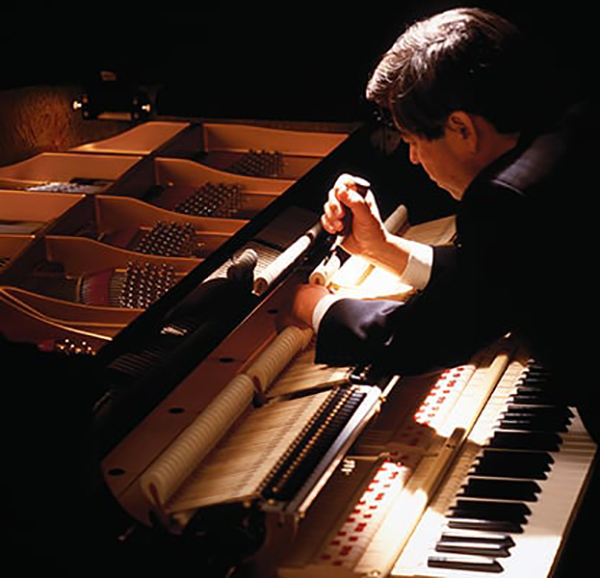 Music City – Tổng Kho Piano, Guitar, Organ | Dịch Vụ Giáo Dục Âm Nhạc
