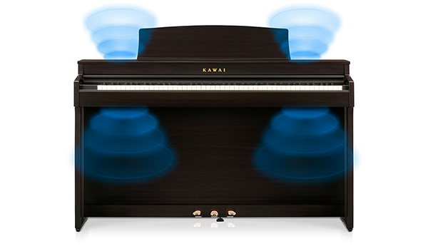 Music City – Tổng Kho Piano, Guitar, Organ | Dịch Vụ Giáo Dục Âm Nhạc