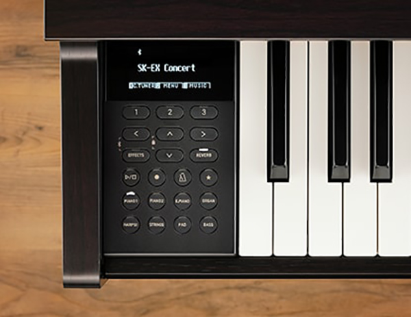 Music City – Tổng Kho Piano, Guitar, Organ | Dịch Vụ Giáo Dục Âm Nhạc