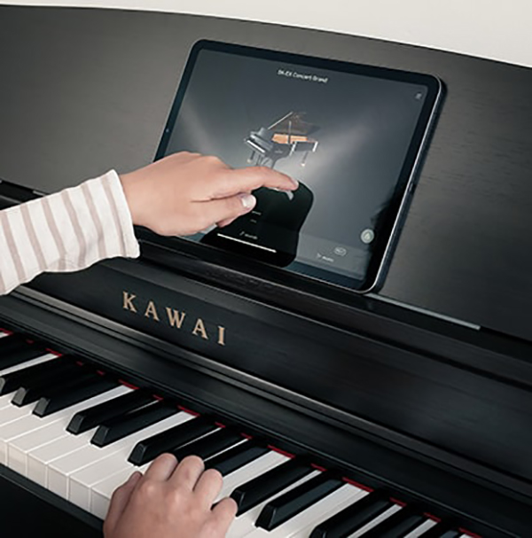 Music City – Tổng Kho Piano, Guitar, Organ | Dịch Vụ Giáo Dục Âm Nhạc