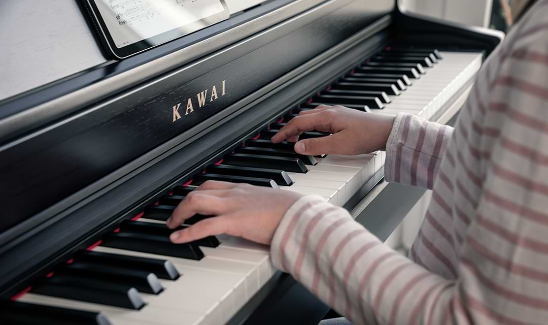 Music City – Tổng Kho Piano, Guitar, Organ | Dịch Vụ Giáo Dục Âm Nhạc