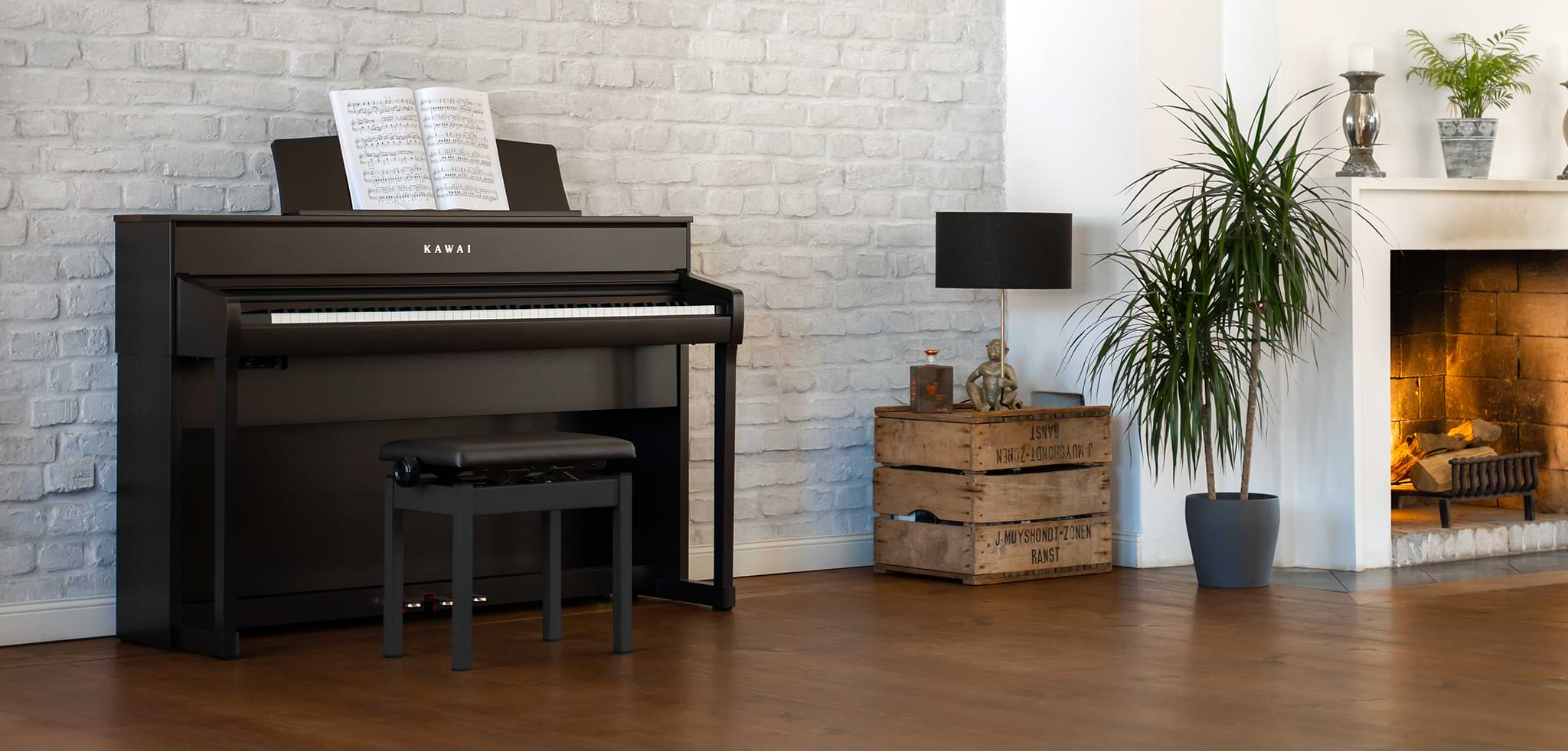 Music City – Tổng Kho Piano, Guitar, Organ | Dịch Vụ Giáo Dục Âm Nhạc