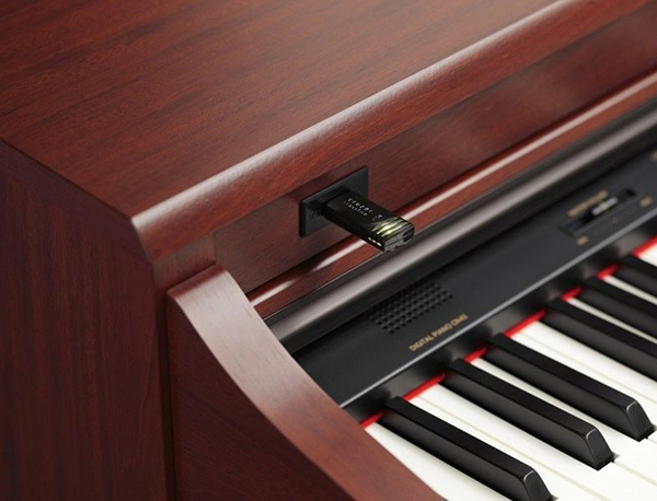 Music City – Tổng Kho Piano, Guitar, Organ | Dịch Vụ Giáo Dục Âm Nhạc