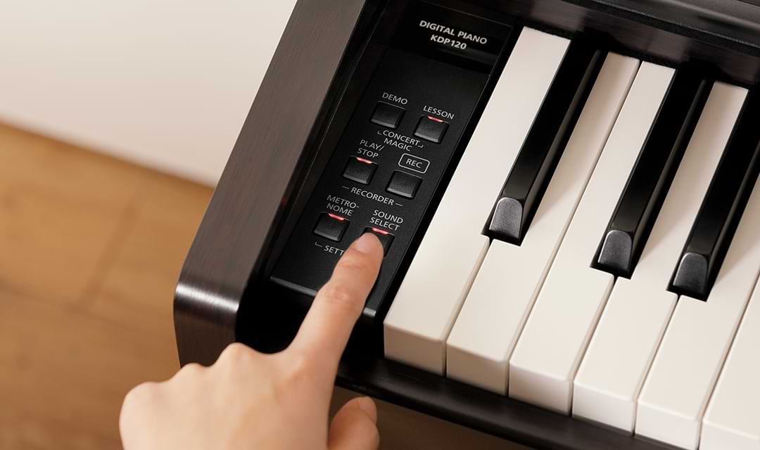 Music City – Tổng Kho Piano, Guitar, Organ | Dịch Vụ Giáo Dục Âm Nhạc