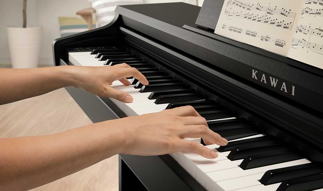 Music City – Tổng Kho Piano, Guitar, Organ | Dịch Vụ Giáo Dục Âm Nhạc