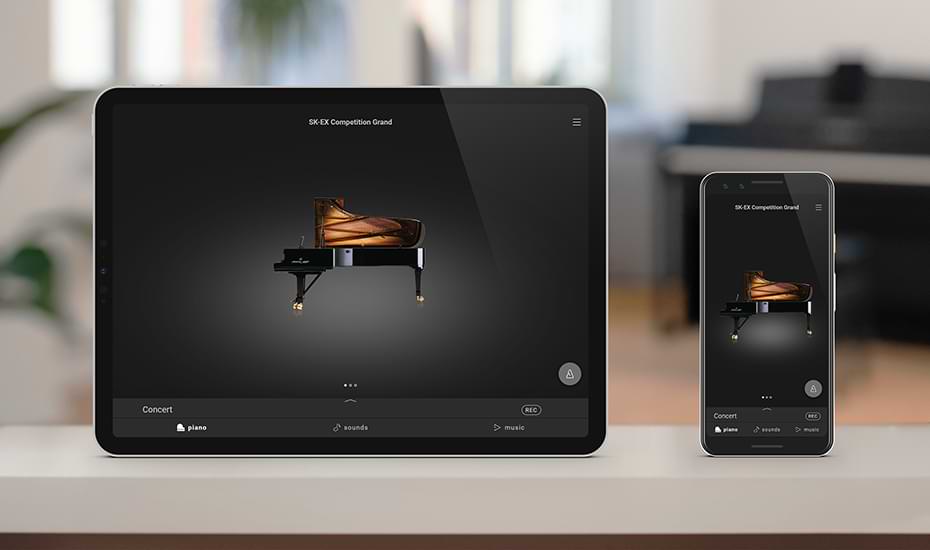 Music City – Tổng Kho Piano, Guitar, Organ | Dịch Vụ Giáo Dục Âm Nhạc