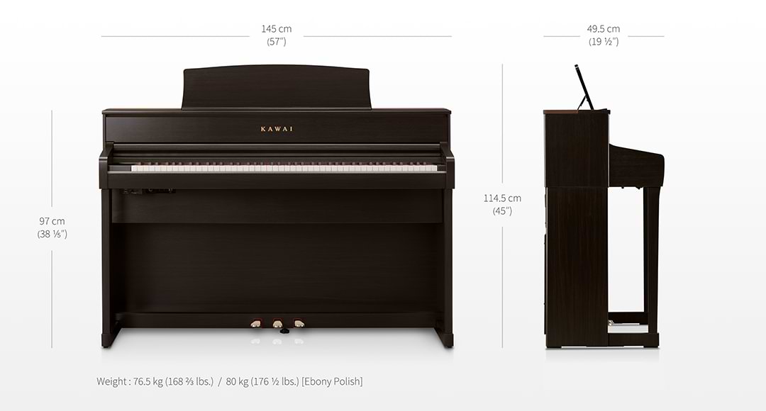 Music City – Tổng Kho Piano, Guitar, Organ | Dịch Vụ Giáo Dục Âm Nhạc
