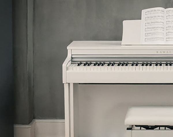 Music City – Tổng Kho Piano, Guitar, Organ | Dịch Vụ Giáo Dục Âm Nhạc