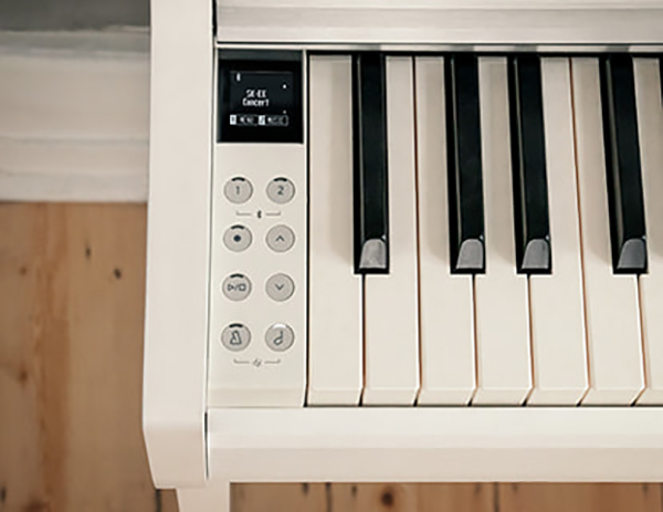 Music City – Tổng Kho Piano, Guitar, Organ | Dịch Vụ Giáo Dục Âm Nhạc