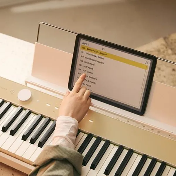 Music City – Tổng Kho Piano, Guitar, Organ | Dịch Vụ Giáo Dục Âm Nhạc