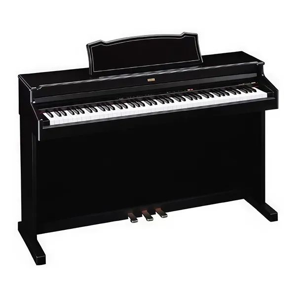 Music City – Tổng Kho Piano, Guitar, Organ | Dịch Vụ Giáo Dục Âm Nhạc