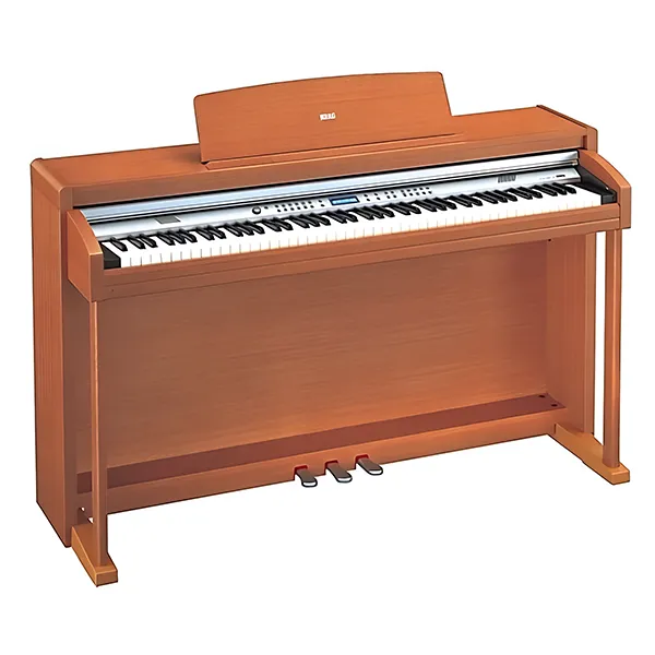 Music City – Tổng Kho Piano, Guitar, Organ | Dịch Vụ Giáo Dục Âm Nhạc