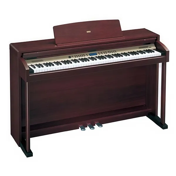 Music City – Tổng Kho Piano, Guitar, Organ | Dịch Vụ Giáo Dục Âm Nhạc