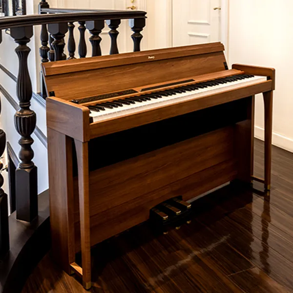 Music City – Tổng Kho Piano, Guitar, Organ | Dịch Vụ Giáo Dục Âm Nhạc
