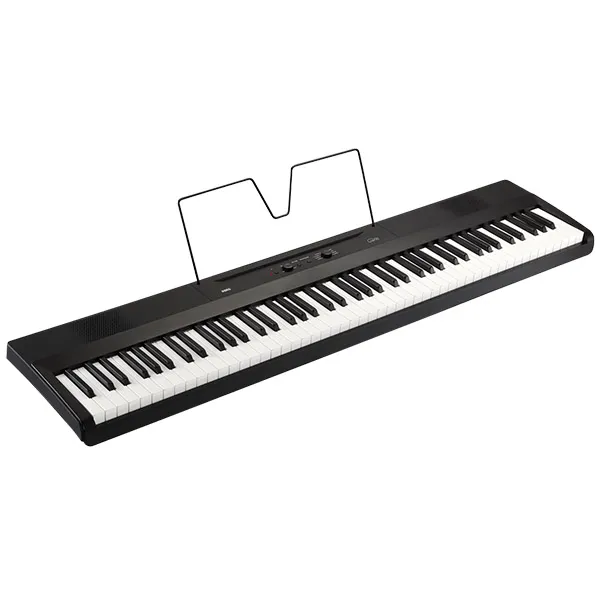 Music City – Tổng Kho Piano, Guitar, Organ | Dịch Vụ Giáo Dục Âm Nhạc
