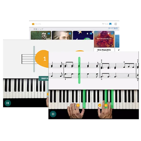 Music City – Tổng Kho Piano, Guitar, Organ | Dịch Vụ Giáo Dục Âm Nhạc