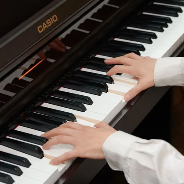 Music City – Tổng Kho Piano, Guitar, Organ | Dịch Vụ Giáo Dục Âm Nhạc