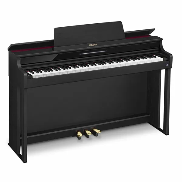 Music City – Tổng Kho Piano, Guitar, Organ | Dịch Vụ Giáo Dục Âm Nhạc