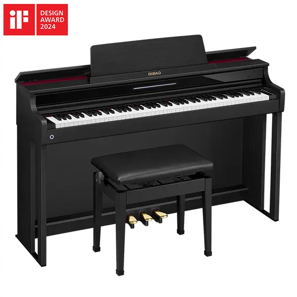 Music City – Tổng Kho Piano, Guitar, Organ | Dịch Vụ Giáo Dục Âm Nhạc