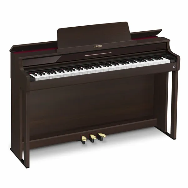 Music City – Tổng Kho Piano, Guitar, Organ | Dịch Vụ Giáo Dục Âm Nhạc