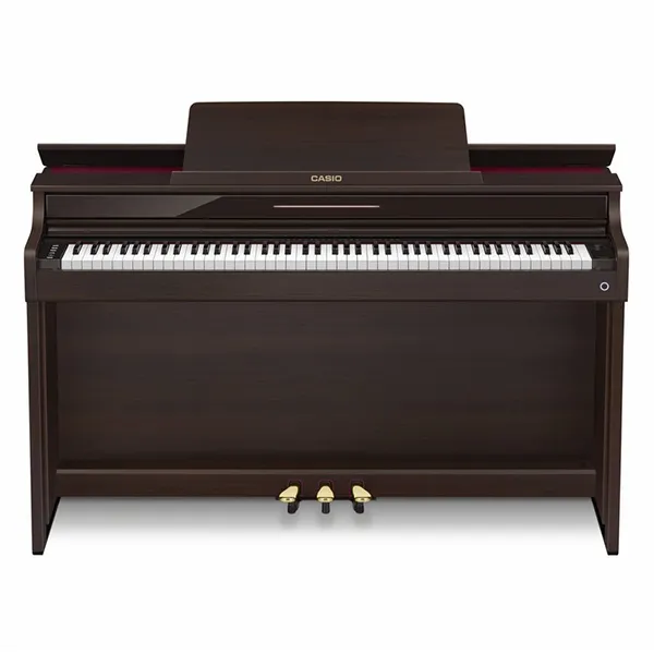 Music City – Tổng Kho Piano, Guitar, Organ | Dịch Vụ Giáo Dục Âm Nhạc
