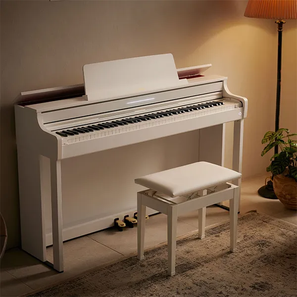 Music City – Tổng Kho Piano, Guitar, Organ | Dịch Vụ Giáo Dục Âm Nhạc