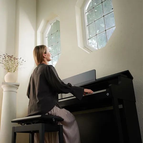 Music City – Tổng Kho Piano, Guitar, Organ | Dịch Vụ Giáo Dục Âm Nhạc