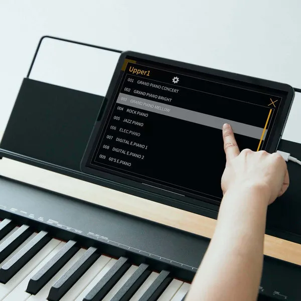 Music City – Tổng Kho Piano, Guitar, Organ | Dịch Vụ Giáo Dục Âm Nhạc