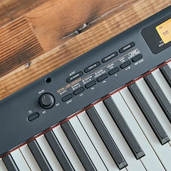 Music City – Tổng Kho Piano, Guitar, Organ | Dịch Vụ Giáo Dục Âm Nhạc