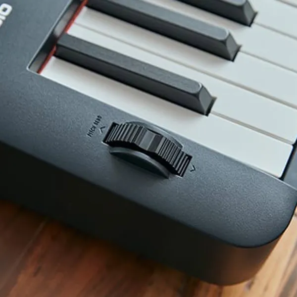 Music City – Tổng Kho Piano, Guitar, Organ | Dịch Vụ Giáo Dục Âm Nhạc