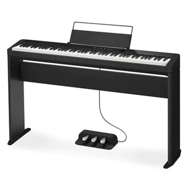 Music City – Tổng Kho Piano, Guitar, Organ | Dịch Vụ Giáo Dục Âm Nhạc
